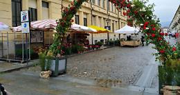 VENARIA REALE. Annullata ancora la Festa delle Rose: se ne riparla nel 2022