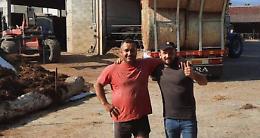 CASTELLAMONTE. Appello di Coldiretti: donate rotoballe ai Tomasi Cont
