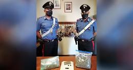 Sequestri di stupefacenti a Cigliano e Moncrivello