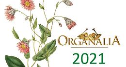CIRIÈ. Organalia propone le “Arie Sacre” per voce e organo