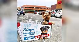 CALUSO. "Cane a bordo" arrivano i carrelli per fare la spesa con "Fido"