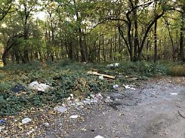 CHIVASSO. Pratoregio: il vero problema sono i rifiuti abbandonati (VIDEO)