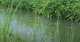 VERCELLESE. Parco del Po: i documentari Terra & Acqua (VIDEO)