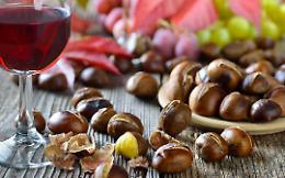 PIVERONE. Domenica tutti in Cantina per la Castagnata