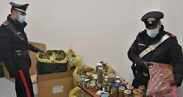 VENARIA REALE. Coppia di fidanzati nei guai per droga