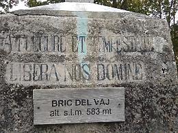 CASALBORGONE. Camminata al Bosco del Vaj con guida escursionistica