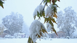 Settimo Torinese. Palle di neve