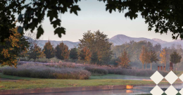 VENARIA REALE. Il 24 Novembre il secondo appuntamento con  "Changing Landscape"