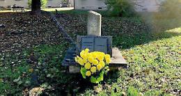 VENARIA REALE. Un IV Novembre speciale con i fiori donati da una misteriosa fioraia