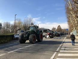 CHIVASSO. Caso cinghiali, gli agricoltori: "Cirio, siamo alla conserva" (VIDEO)