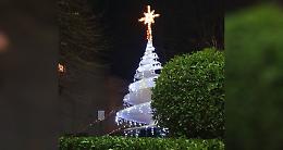 CALUSO. Vandali scatenati distruggono l'albero di natale di Rodallo (VIDEO)