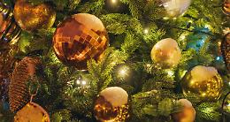 Cirié accende il Natale: luci, musica e tradizioni nel nuovo Viale