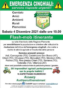 CHIVASSO-MONTEU DA PO. Sabato alle 10 flash mob contro il proliferare dei cinghiali