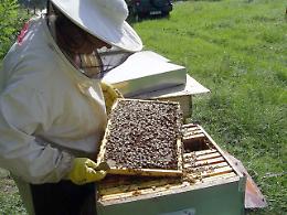 Non ci sono pi&ugrave; le mezze stagioni: "Anche noi vittime del cambiamento climatico"