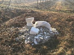 SAN RAFFAELE/GASSINO/CASTIGLIONE. Appuntamento per ripulire gli argini del Po dalla spazzatura