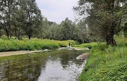 CHIVASSO. Approvato in Giunta il progetto definitivo per la realizzazione della scogliera a protezione della sponda sinistra del torrente Orco