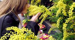 Mazz&egrave; celebra la Festa della Donna con musica, danza e cultura al Palaeventi