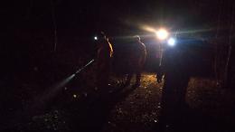 CERES. Incendio doloso nel bosco tra Procaria e Fè