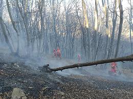 PRATIGLIONE/FORNO - Elicotteri in azione per domare grosso incendio