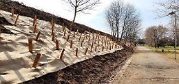 VENARIA. Al via la piantumazione di più di 2500 alberi
