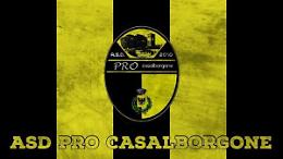 CASALBORGONE. “ASD Pro Casalborgone”: lo sport per tutte le età