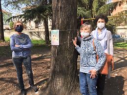 SETTIMO TORINESE: Abbellire Settimo con i propri disegni