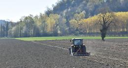SAN SEBASTIANO DA PO. Siccit&agrave;, l'allarme: "Il fieno ha gi&agrave; raggiunto un prezzo folle e non se ne trova"
