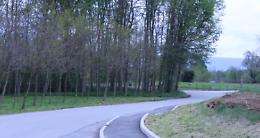 FIORANO CANEVASE. Truffatore in agguato nelle strade di campagna, alla guida di un’Audi