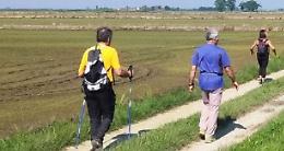 SALUGGIA. Camminata per le mamme