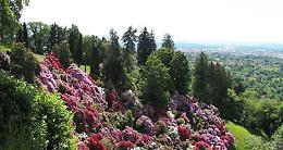 CIGLIANO. Con Vita Tre al Parco della Burcina