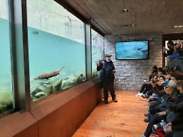 Gran Paradiso, quasi 900 gli alunni delle scuole in visita al Centro “Acqua e biodiversità” di Rovenaud-Valsavarenche
