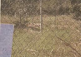 GASSINO TORINESE. Un bando per provare a riaprire il campo Olindo Fiore di Bussolino