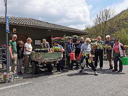 INGRIA. Arrivano gli americani per giudicare la floricoltura del paese