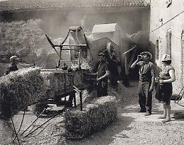 E giungeva il tempo della trebbiatura