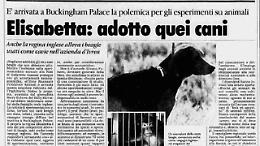 Quella volta che la Regina Elisabetta chiese di adottare 8 cani utilizzati come cavie alla Rbm di Colleretto Giacosa