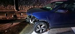 Tragedia sfiorata in autostrada: investiti 8 cinghiali. Tutti morti