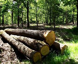 La Partecipanza recupera dall’Ente Parco del Po i fondi arretrati