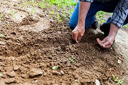 Un cantiere di lavoro per giardinieri disoccupati
