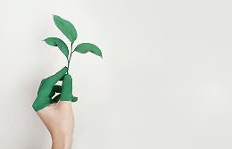 Un premio al verde di Settimo Torinese