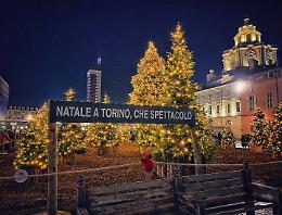 Non un Albero, ma addirittura un Bosco per Natale!