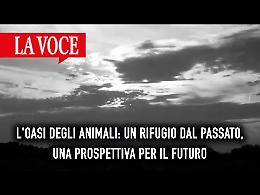 L'Oasi degli animali: un rifugio dal passato, una prospettiva per il futuro