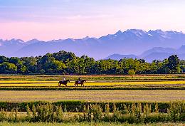 UNESCO premia la collina attorno a Torino