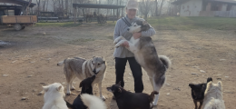 Storia di Patrizia, che salva i cani per amore (VIDEO)