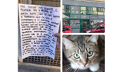 C'&egrave; un gatto incastrato dentro l'ospedale abbandonato!