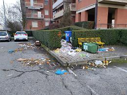 Area ecologica devastata dopo il passaggio di una famiglia di cinghiali (VIDEO)