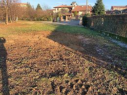 Polemica sull'albero tagliato in piazza. Il sindaco: "Non l'abbiamo abbattuto tanto per... Mio nonno non me lo perdonerebbe"