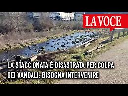 Per colpa dei VANDALI la staccionata è disastrata (VIDEO)