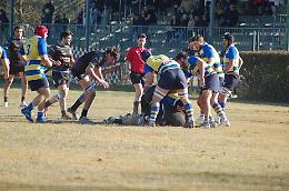 VII Rugby e Gran Torino Rugby Alliance: percorso netto