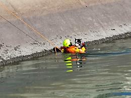 Ancora problemi con il canale Cimena: un cane cade dentro e viene salvato dai vigili del fuoco