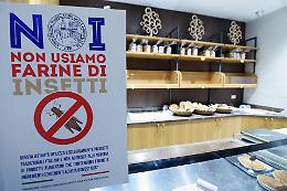 Farine con insetti: Coldiretti lancia l'allarme.